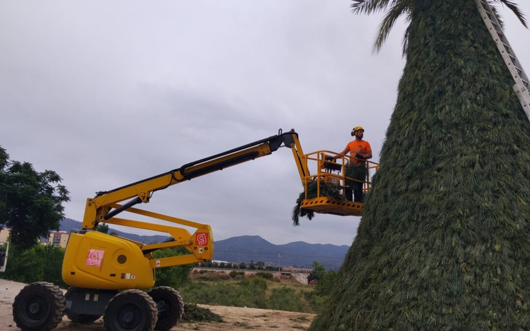 ¡Así de bien salió el montaje de la Foguera de Sant Onofre de l’Alcúdia de Crespins!