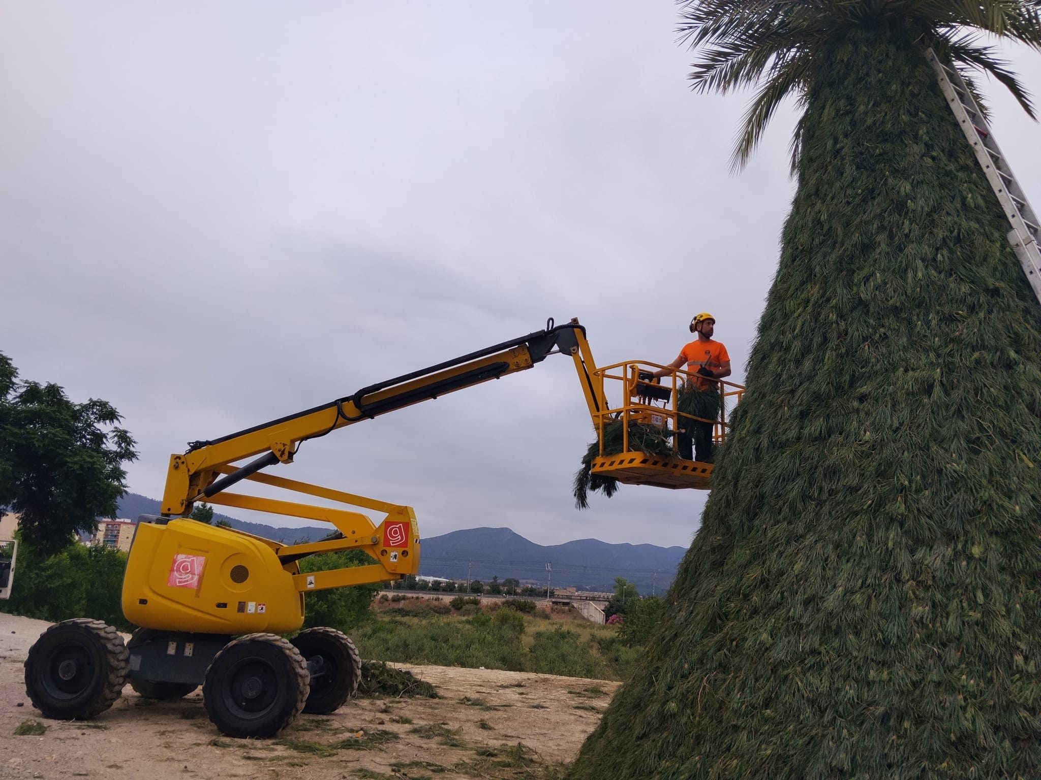 gerpasa-alquiler-plataformas-elevadoras-noticias-foguera-sant-onofre-alcudia-de-crespins-fiestas-patronales-1